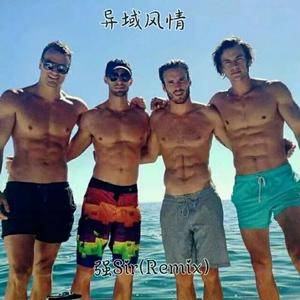 看淡江湖路只为把你护(Remix)